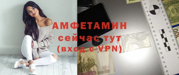 spice Богородицк