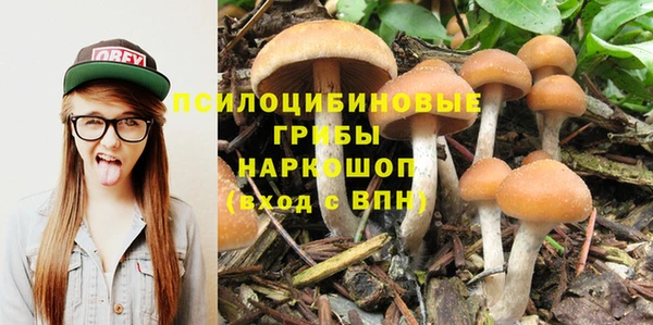 дживик Беломорск