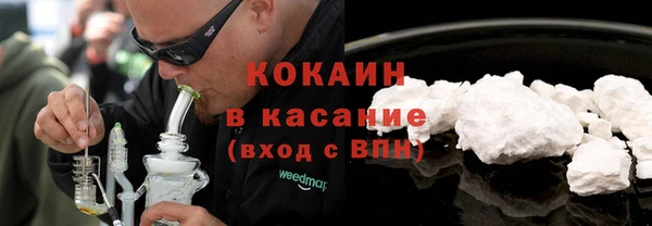 spice Богородицк