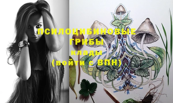 хмурый Белоозёрский