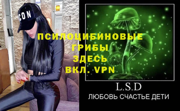 дживик Беломорск