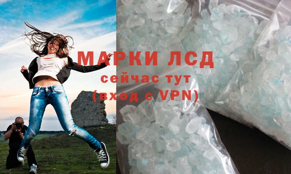 spice Богородицк