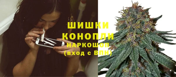 дживик Беломорск