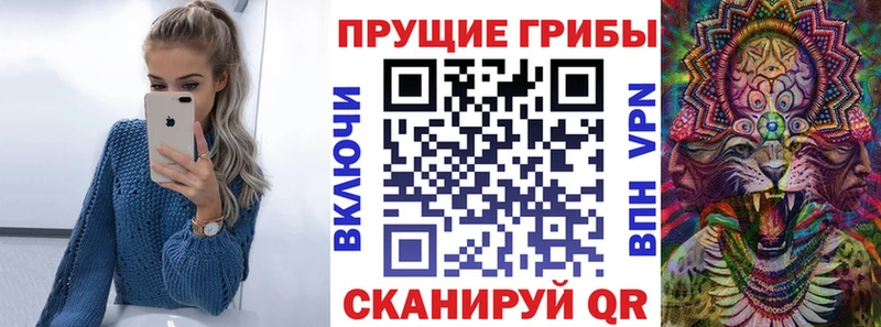 закладка  Болохово  Галлюциногенные грибы GOLDEN TEACHER 